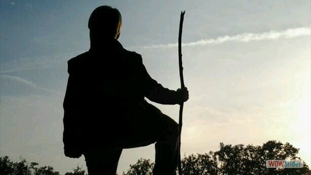 image-1357208646176-V